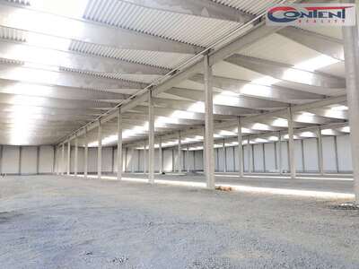 Pronájem skladu, výrobních prostor 43.656 m², Bratislava - 11006