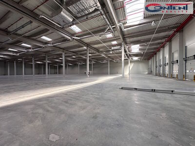 Pronájem novostavby skladu nebo výrobních prostor 23.919 m², České Budějovice - 12187