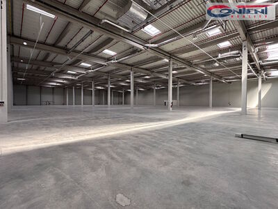 Pronájem skladu, výrobních prostor  25.122 m², Piešťany - 12629