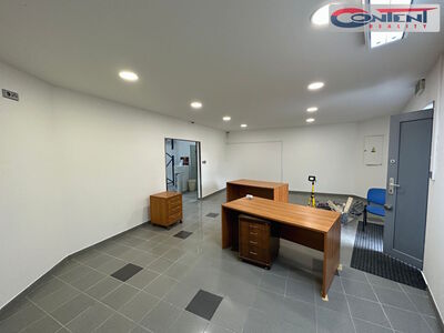 Pronájem skladu 300 m², Vestec - 17773