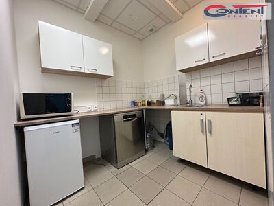 Sale Commercial Premises 3.364 m², Všechromy - 23820