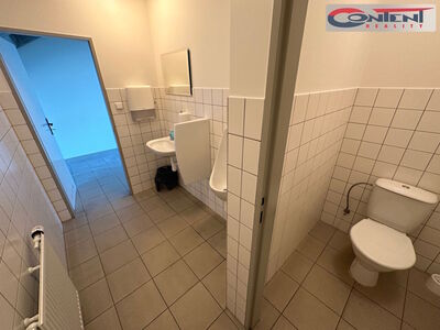 Sale Commercial Premises 3.364 m², Všechromy - 23821