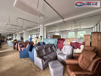 Pronájem výrobního, skladového areálu 4.664 m², Mariánské Lázně - 24170