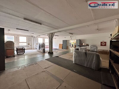 Pronájem výrobního, skladového areálu 4.664 m², Mariánské Lázně - 24173