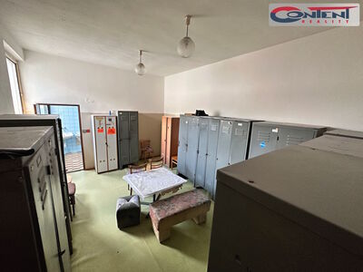 Pronájem výrobního, skladového areálu 4.664 m², Mariánské Lázně - 24183