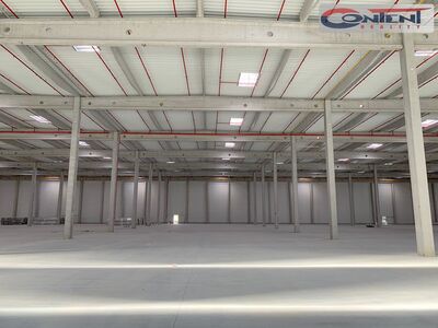 Pronájem skladu, výrobních prostor 29.700 m², Velká Bíteš - 33032