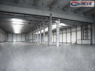 Pronájem výrobních prostor, skladu 6.750 m², Litovel, D35 - 36941