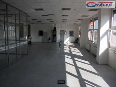 Pronájem výrobních prostor, skladu 6.750 m², Litovel, D35 - 36946