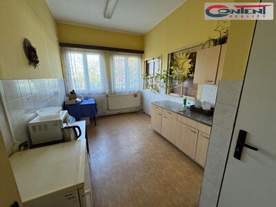 Exclusive lease of 20.500 m², Prague - Satalice, D10, D11 - 41181