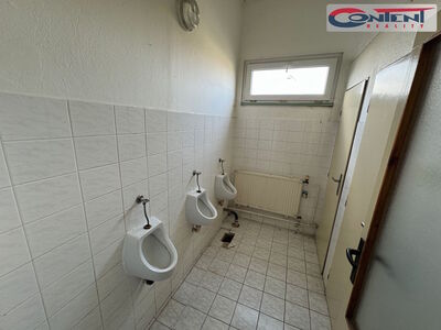 Exclusive lease of 20.500 m², Prague - Satalice, D10, D11 - 41182