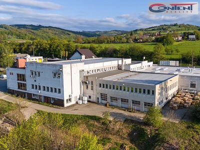 Pronájem skladu, výrobních prostor 6.000 m², Zádveřice - 42674