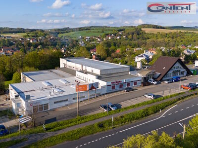 Pronájem skladu, výrobních prostor 6.000 m², Zádveřice - 42684