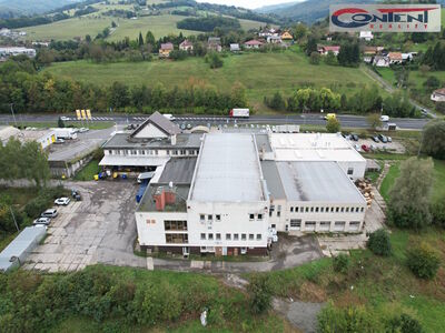 Pronájem skladu, výrobních prostor 6.000 m², Zádveřice - 42685