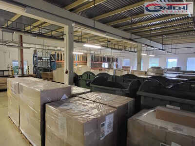 Pronájem skladu, výrobních prostor 6.000 m², Zádveřice - 42678