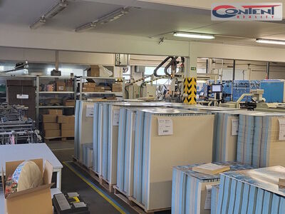 Pronájem skladu, výrobních prostor 6.000 m², Zádveřice - 42679