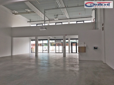 Pronájem skladu, výrobních prostor 2.425 m², Mladá Boleslav - 44254