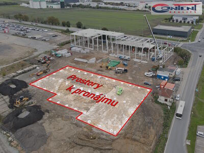 Pronájem skladu, výrobních prostor 2.425 m², Mladá Boleslav - 44257