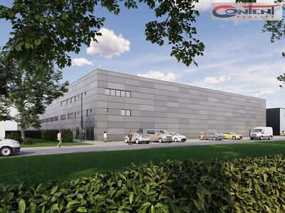 Pronájem skladu, výrobních prostor 7.800 m², Týniště nad Orlicí - 48781