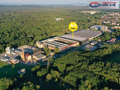 Pronájem skladu, výrobních prostor 7.800 m², Týniště nad Orlicí - 48783