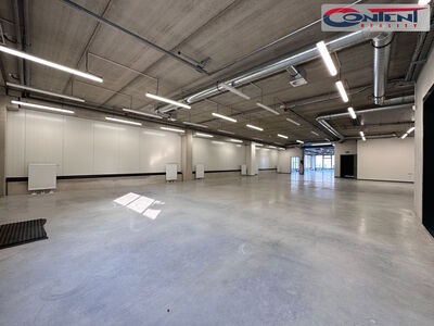 Pronájem skladu, výrobních prostor, stavba na klíč 1.100 m², Praha 9 Horní Počernice, D10 - 49298