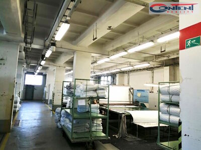 Pronájem skladu, výrobních prostor 900 m², Břeclav - 49853