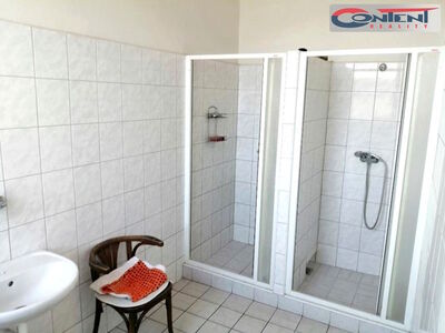 Pronájem skladu, výrobních prostor 900 m², Břeclav - 49856