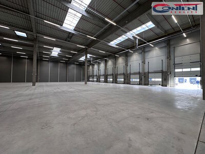 Pronájem skladu, výrobních prostor 4.000 m², Pardubice - 51101
