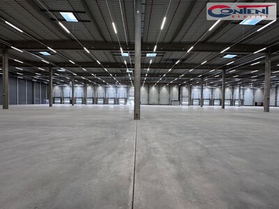 Pronájem skladu, výrobních prostor 4.000 m², Pardubice - 51102