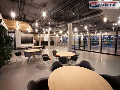 Pronájem kvalitních industriálních prostor 17.354 m², Brno - Slatina - 51507