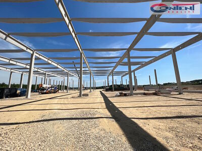 Pronájem novostavby skladu, výrobních prostor 19.200 m², Velký Osek - 52106