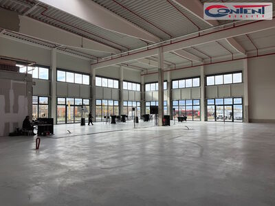 Pronájem skladu, výrobních prostor 882 m², České Budějovice, D3 - 52247