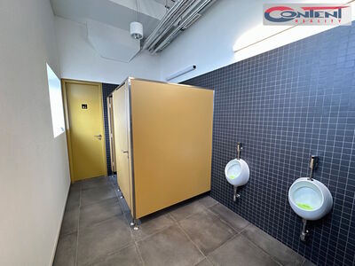 Pronájem skladu, výrobních prostor 435 m², Měšice, Praha-východ - 54193