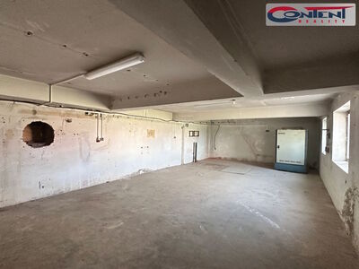 Pronájem skladu, výrobních prostor 2.399 m², Praha - Čakovice - 54601