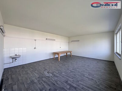 Pronájem skladu, výrobních prostor 2.399 m², Praha - Čakovice - 54603
