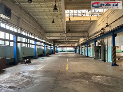 Pronájem skladu, výrobních prostor 3.000 m², Příbram - 54843