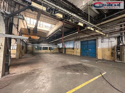 Pronájem skladu, výrobních prostor 3.000 m², Příbram - 54854
