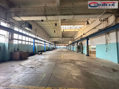Pronájem skladu, výrobních prostor 3.000 m², Příbram - 54845