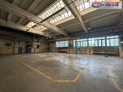 Pronájem skladu, výrobních prostor 3.000 m², Příbram - 54849