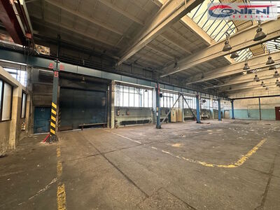 Pronájem skladu, výrobních prostor 3.000 m², Příbram - 54851