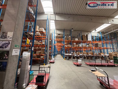 Lagerhalle, Produktionsfläche zur Miete 2.695 m², Prag 10 - Hostivař - 55933