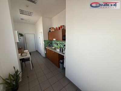 Lagerhalle, Produktionsfläche zur Miete 2.695 m², Prag 10 - Hostivař - 55936