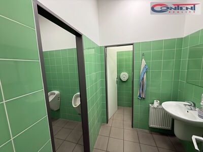 Lagerhalle, Produktionsfläche zur Miete 2.695 m², Prag 10 - Hostivař - 55938
