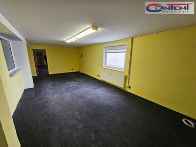 Pronájem skladu, výrobních prostor 2.735 m², Plzeň, D5 - 56191