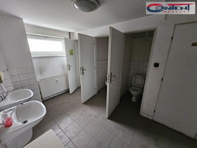 Pronájem skladu, výrobních prostor 2.735 m², Plzeň, D5 - 56192