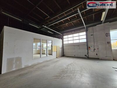 Pronájem skladu, výrobních prostor 2.735 m², Plzeň, D5 - 56184