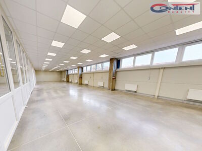 Pronájem skladu, výrobních prostor 4.500 m², Havlíčkův Brod - 56640