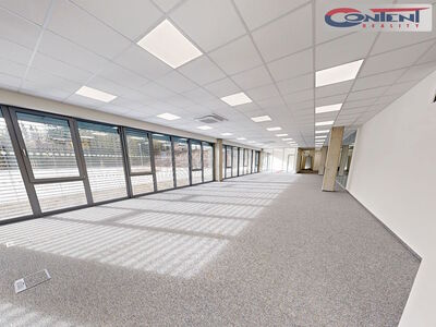 Pronájem skladu, výrobních prostor 4.500 m², Havlíčkův Brod - 56642
