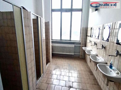 Pronájem skladu, výrobních prostor 973 m², Břeclav - 57483