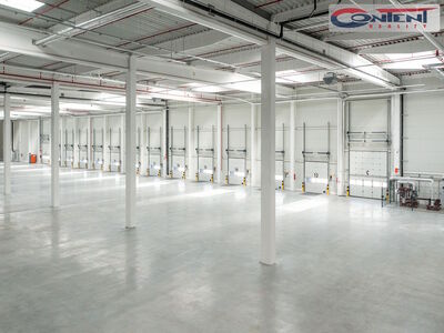 Pronájem novostavby skladu, výrobních prostor 10.275 m², Ostrava - Vítkovice, D1 - 58982
