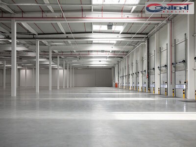 Pronájem novostavby skladu, výrobních prostor 10.275 m², Ostrava - Vítkovice, D1 - 58985
